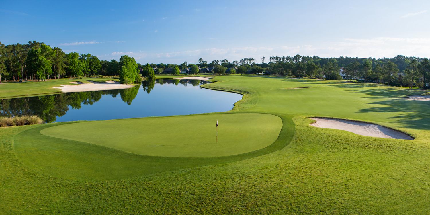 King & Bear - Hole #5