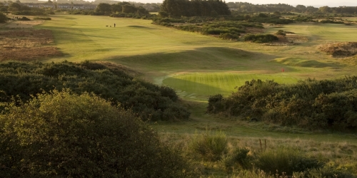 Troon Links - Darley